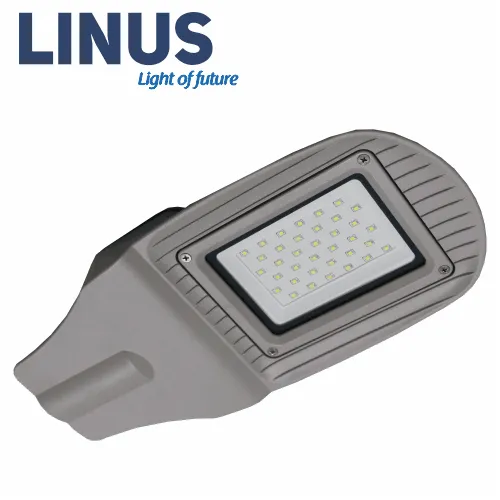 LINUS LED ლამპიონი 50w 4000k IP65 gray