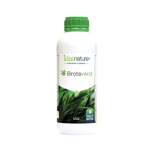 idai nature brotaverdi