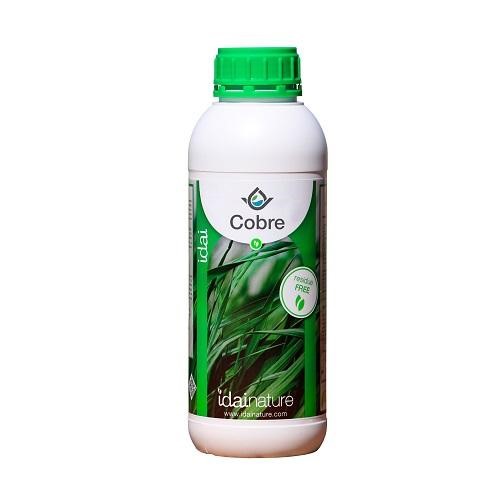 idai nature cobre