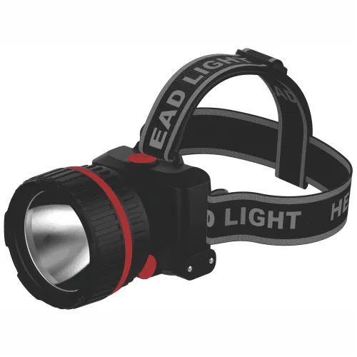 LEDEX tavze dasamagrebeli fanari