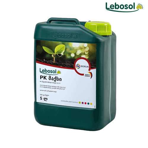 Lebosol sasuqi