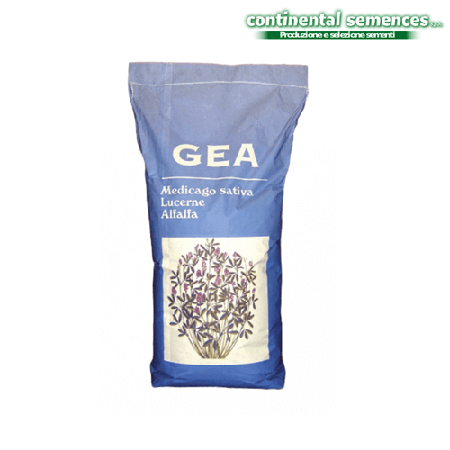 Continental Semences - იონჯა - GEA (ალფა ალფა) - 10 კგ