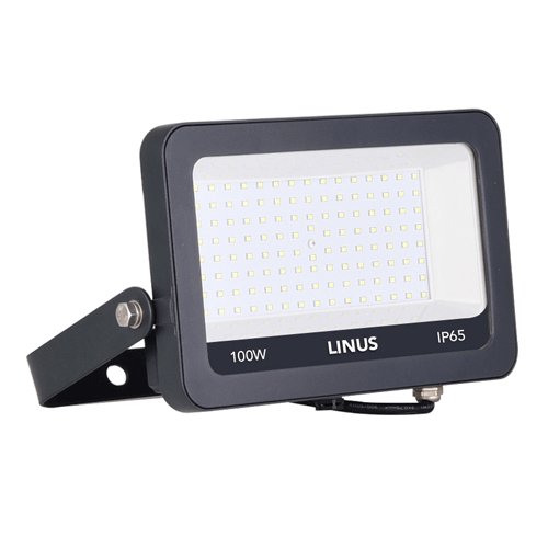 LINUS LED პროჟექტორი 100w 6500k IP65 NW